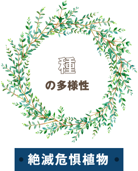 種の多様性 絶滅危惧植物
