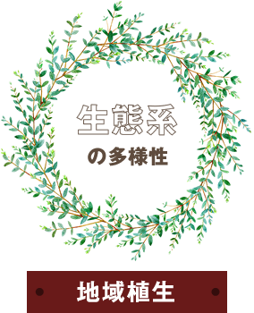 生態系の多様性 地域植生