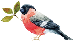 鳥