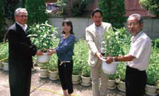 生態系の多様性 地域植生