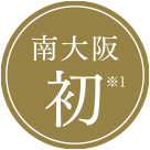 南大阪初