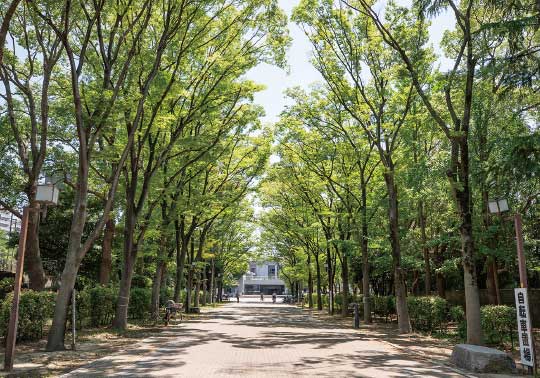 尼崎市記念公園