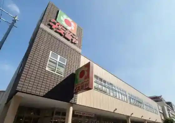 デイリーカナートイズミヤ あびこ店 / Seria イズミヤあびこ店