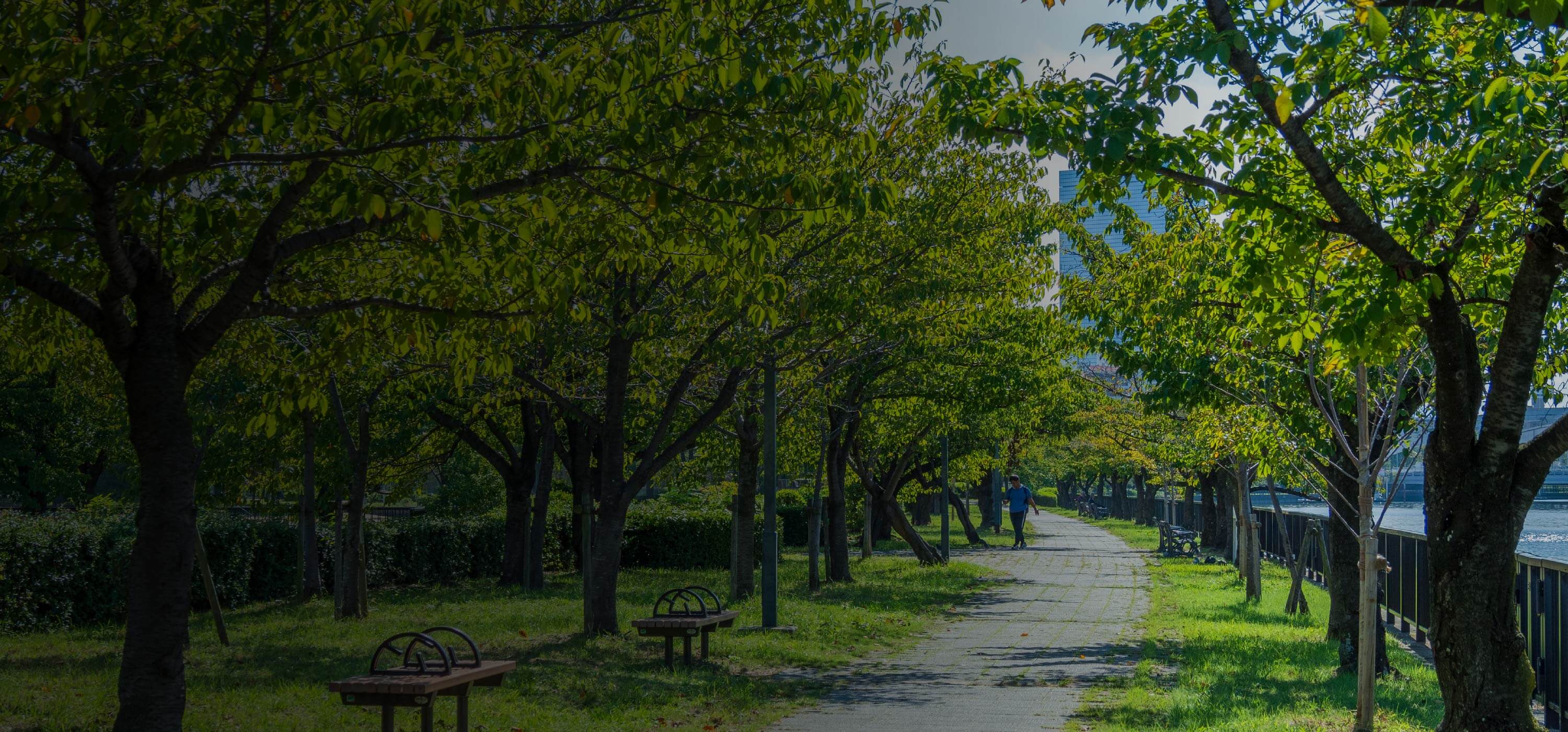 毛馬桜之宮公園