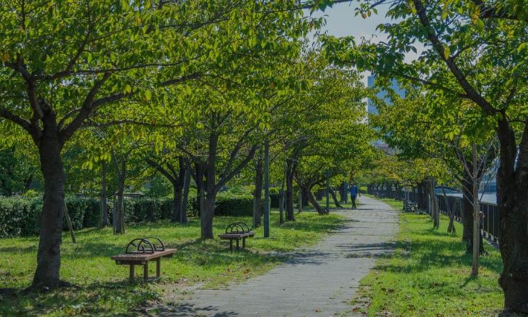 毛馬桜之宮公園