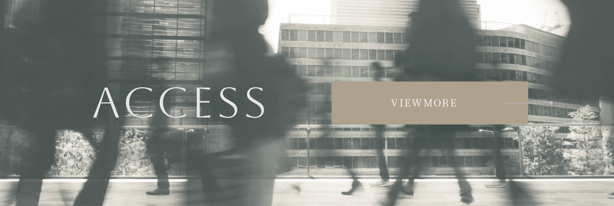 ACCESS VIEWMORE